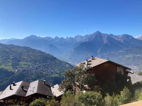 Studio 22 Veysonnaz Apartment in Nendaz