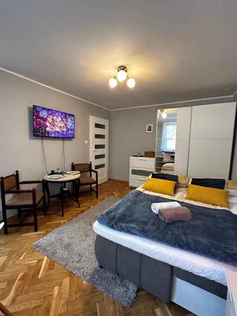 Bed, TV and multimedia, Living room, Photo of the whole room, Seating area, Dining area, Bedroom