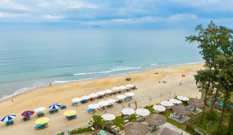 Restaurant/places to eat, Beach, Beach, sunbed