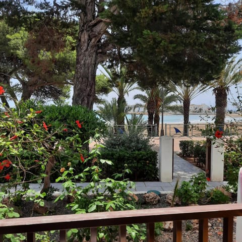 Balcony/Terrace, Lobby or reception, Photo of the whole room, Sea view