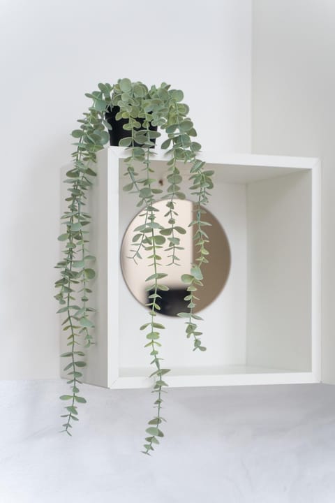 Kamienica Centrum Apartament 19 Apartment in Szczecin