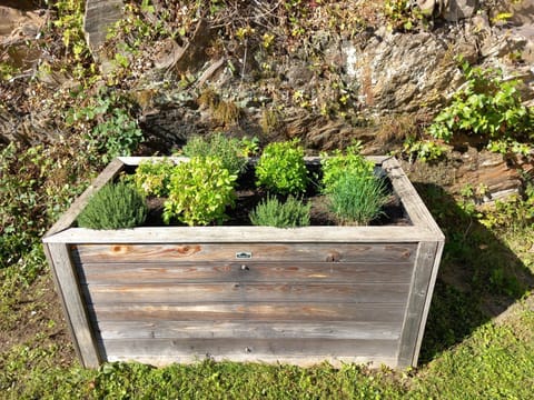 Ferienhaus House in Techelsberg