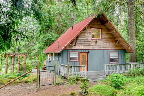 Peaceful Mt Hood Cabin with Hot Tub and Fire Pit! Cabin in Mount Hood Village