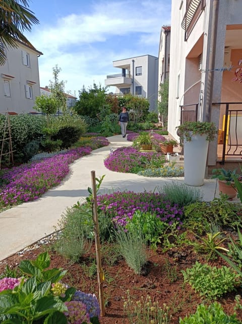 Neighbourhood, Garden view