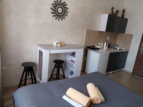 Studio ISKRA Novi Sad Apartment in Novi Sad