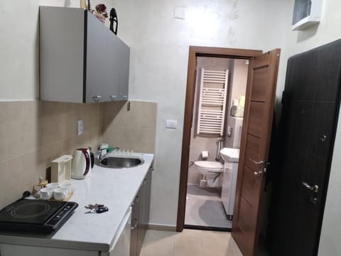 Studio ISKRA Novi Sad Apartment in Novi Sad