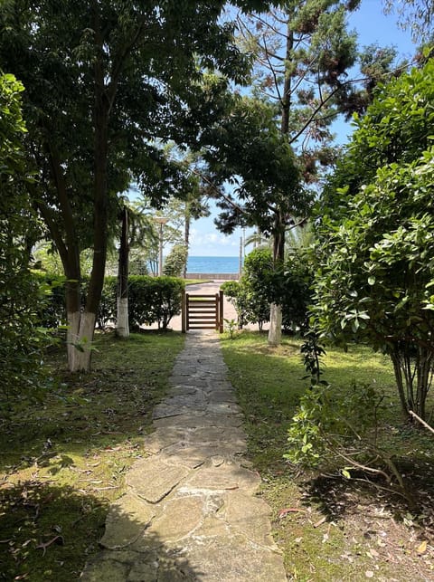 Garden, Garden, Garden view, Sea view