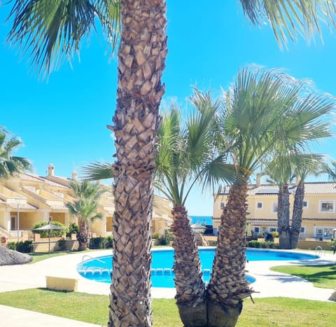 Garden, Swimming pool