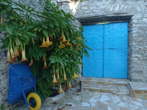 Vintage Mediterranean house House in Vlorë County, Albania