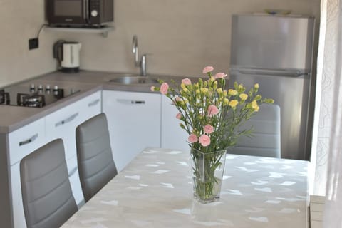 Kitchen or kitchenette, dishwasher, minibar, stove