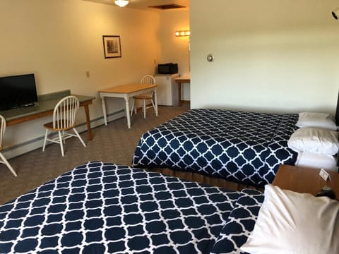 Village Inn Motel Motel in Chatham