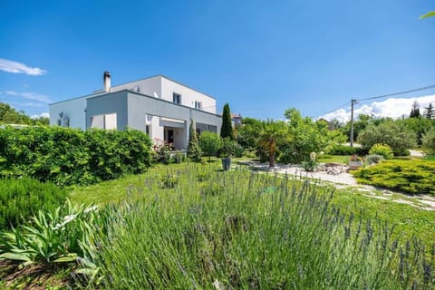 Natural landscape, Garden