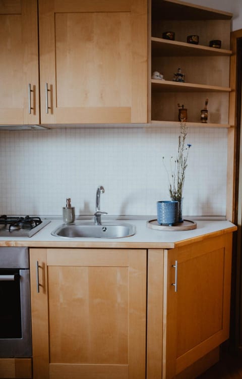 Kitchen or kitchenette, dishwasher, stove