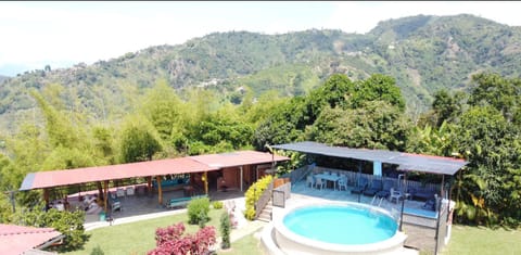 Natural landscape, Bird's eye view, Garden view