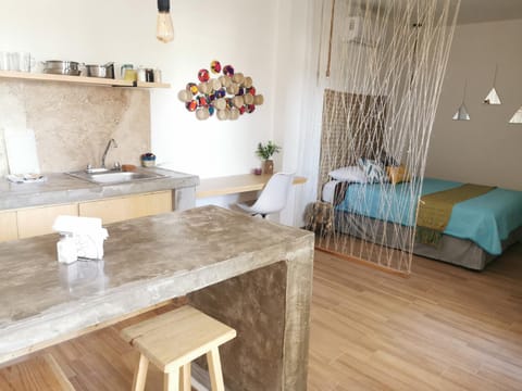 Bed, Kitchen or kitchenette, Photo of the whole room
