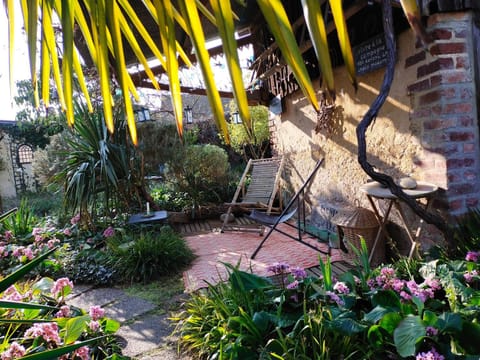 Patio, Garden view, sunbed