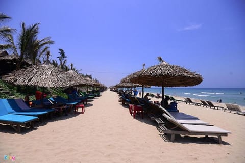 Natural landscape, sunbed