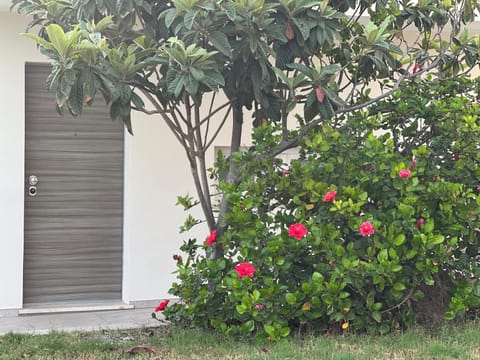 Property building, Garden