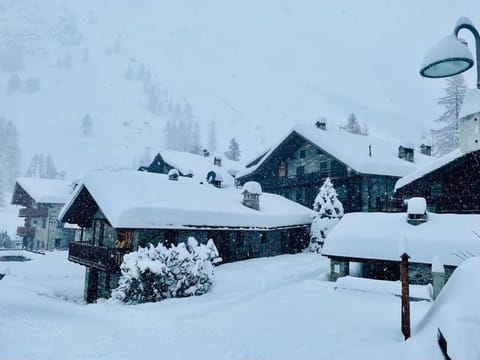 Property building, Natural landscape, Winter