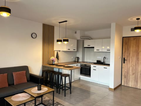 Kitchen or kitchenette, Living room, Dining area, stove