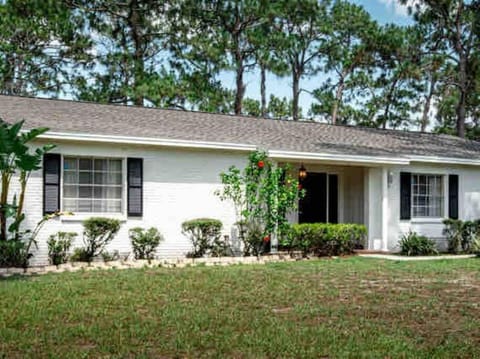 Property building, Spring, Day, Garden
