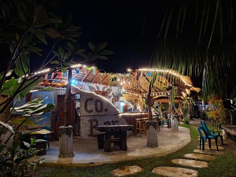 Night, Garden view