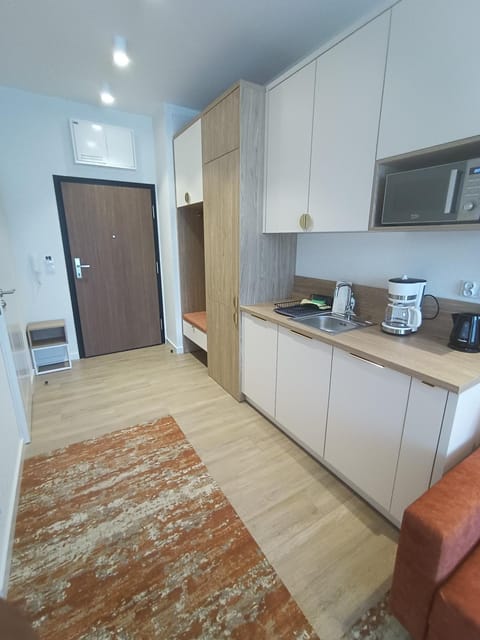 Kitchen or kitchenette, minibar, stove