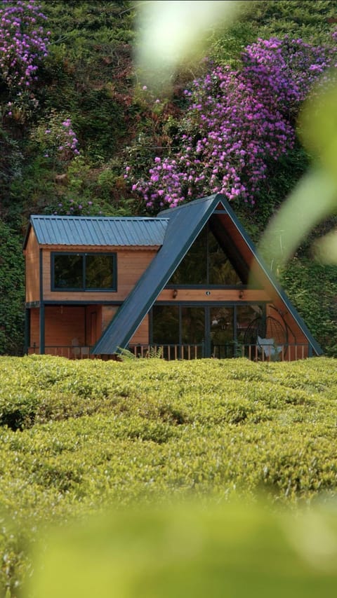 Property building, Spring, Day, Garden, Garden view