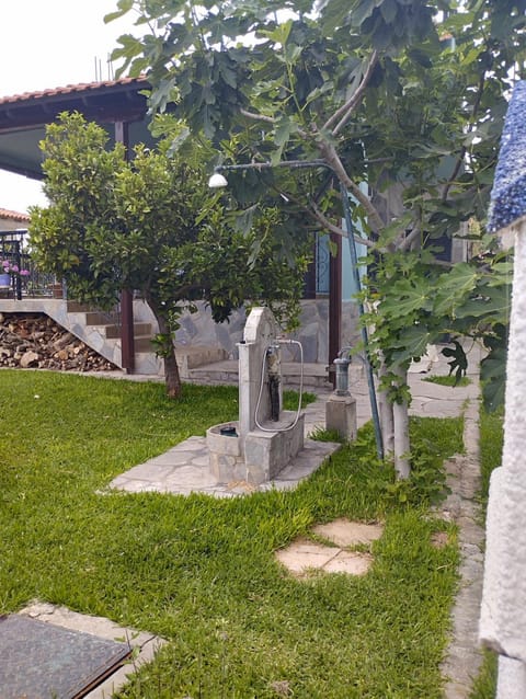 Amadrias by the sea House in Halkidiki