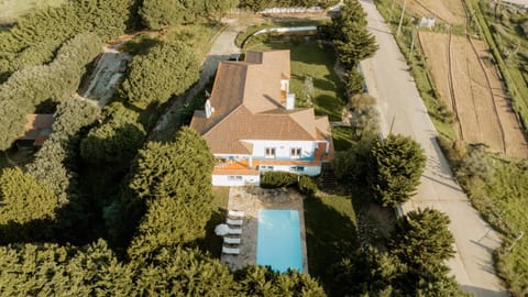 Bird's eye view, Swimming pool