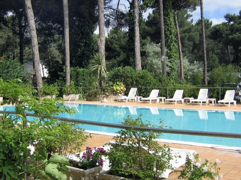 Garden, Pool view, Swimming pool