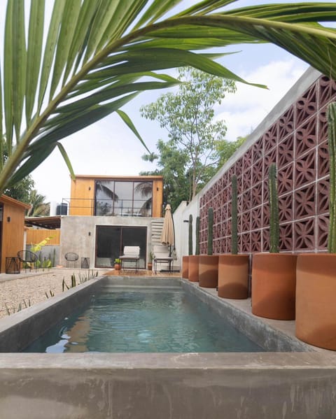 Garden, Swimming pool