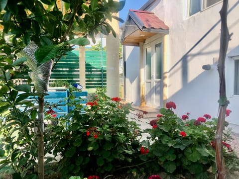 Property building, Day, Garden view