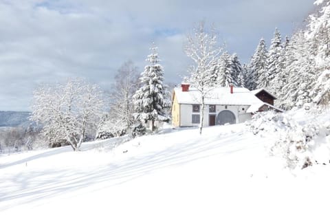 Charmante vieille ferme du Grand Père Prosper proche Gérardmer Villa in Gérardmer