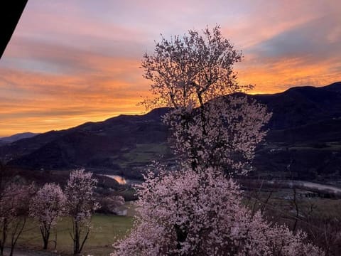 Spring, Mountain view