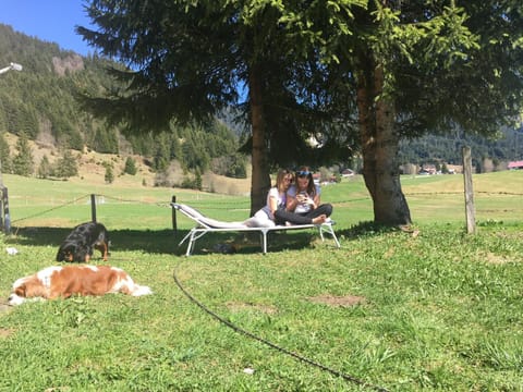 Ferienhof Wäldle - Wäldle 1 und Wäldle 2 mit Motorradvermietung Apartment in Oberstdorf