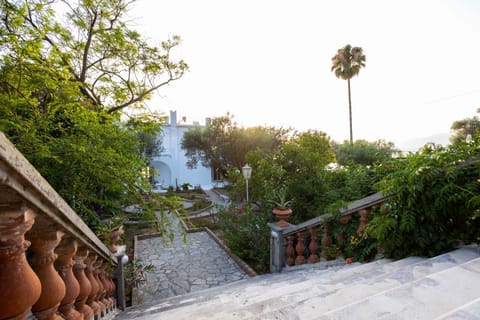 Day, Garden, Garden view