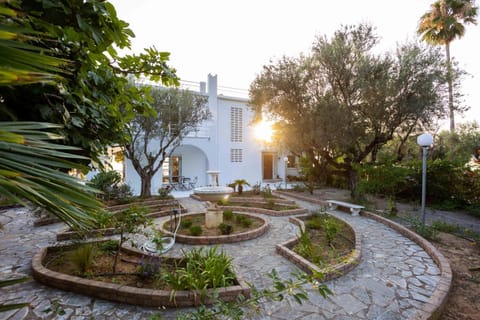 Day, Natural landscape, Garden, Garden view