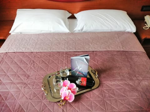 Bed, Bathroom, TV and multimedia, Photo of the whole room, Bedroom, hair dryier, room service