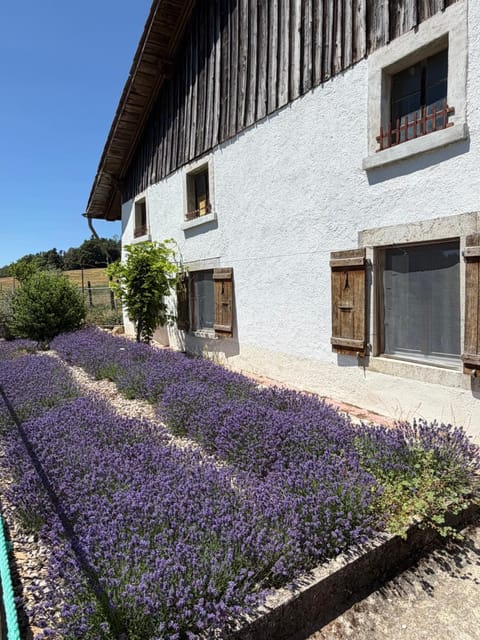 Property building, Garden view