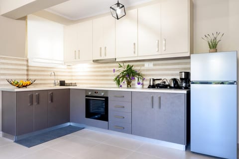 Afroditi's Delux apartment Apartment in Islands