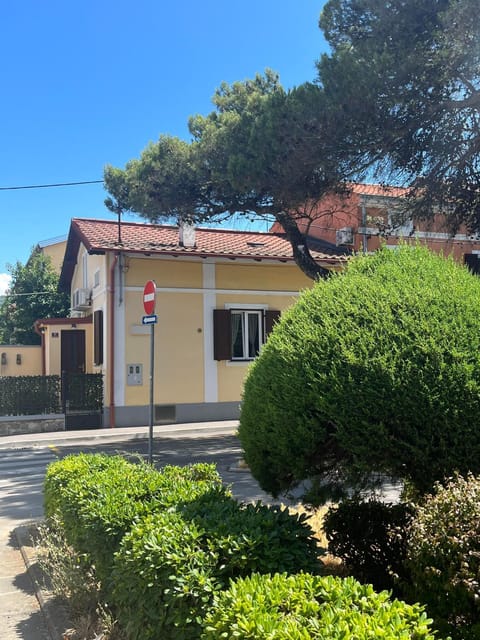 Property building, Day