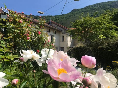 Spring, Garden, Garden, Garden view