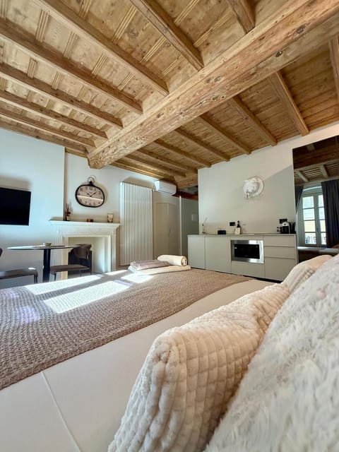 Bed, TV and multimedia, Kitchen or kitchenette, Photo of the whole room, Bedroom, minibar, oven