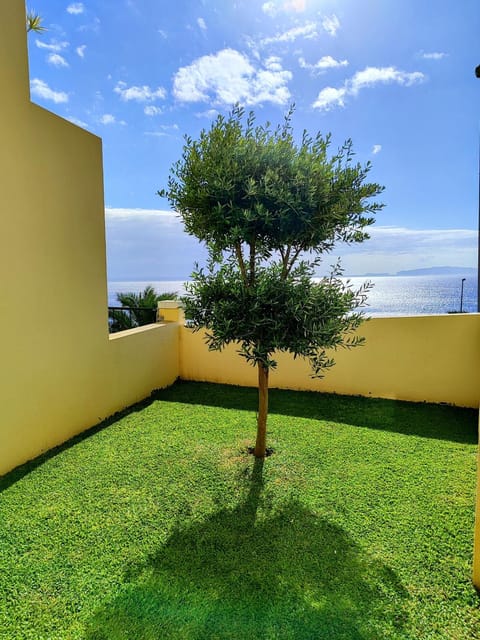 Garden, Garden view