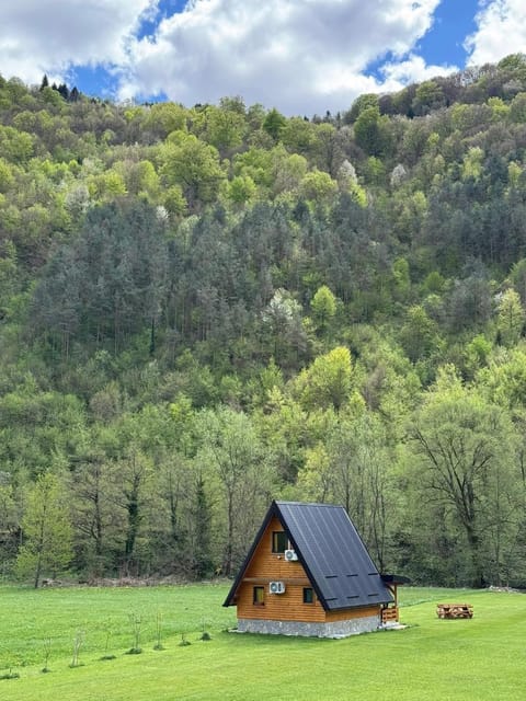 Freedom in Forest House in Federation of Bosnia and Herzegovina