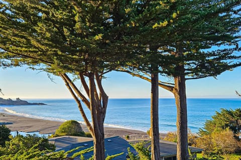 Eagle's Landing - Main House & Studio House in Gualala