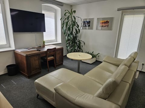 TV and multimedia, Living room, Photo of the whole room, Seating area, Family, furniture