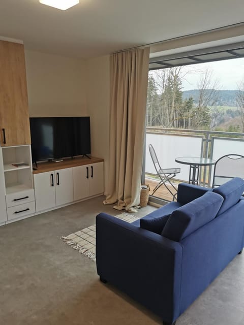 TV and multimedia, Balcony/Terrace, Living room, Seating area