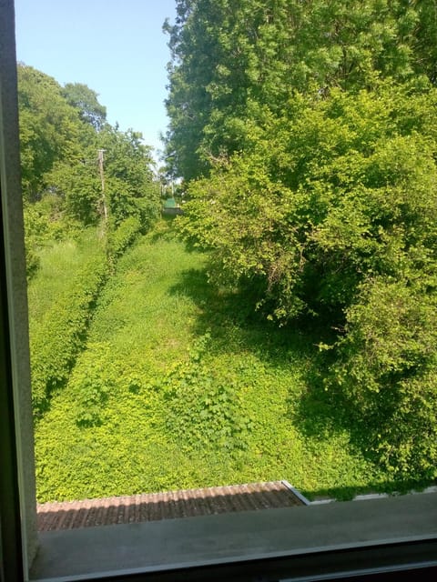 Natural landscape, Garden